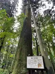 大宝寺の自然