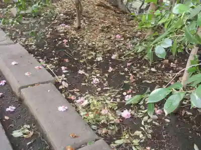 王子神社(東京都)