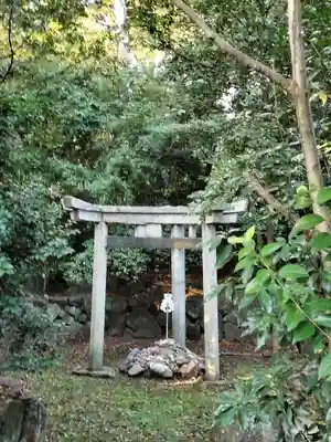 木嶋坐天照御魂神社(京都府)