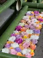 水無瀬神宮(大阪府)