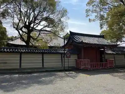 東寺(教王護国寺)(京都府)