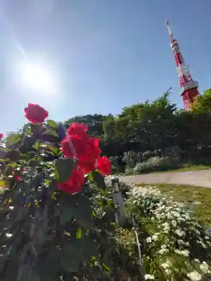 増上寺塔頭 三縁山 宝珠院の周辺