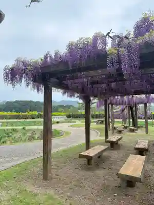 賀茂神社の{uncategorized: "未分類", other: "その他", undefined: "問題あり", building: "その他建物", grave: "お墓", sacred_gate: "鳥居", guardian: "狛犬", statue: "像", buddha: "仏像", history: "歴史", nature: "自然", garden: "庭園", animal: "動物", pagoda: "塔", temizu: "手水舎", mountain_gate: "山門・神門", sanctuary: "本殿・本堂", subordinate: "末社・摂社", art: "芸術", scenery: "景色", jizo: "地蔵", ema: "絵馬", goshuin: "御朱印", omikuji: "おみくじ", items: "授与品その他", amulet: "お守り", goshuincho: "御朱印帳", eats: "食事", festival: "お祭り", votive_dance: "神楽", shichigosan: "七五三参", wedding: "結婚式", experience: "体験その他", initially: "初詣", around: "周辺", anti_infection: "感染症対策"}