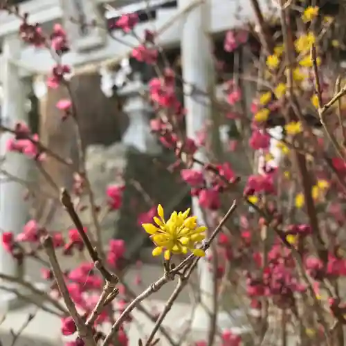 高司神社〜むすびの神の鎮まる社〜の自然