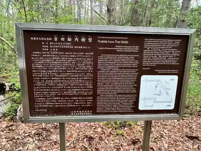 吉田胎内樹型（北口本宮冨士浅間神社管轄）の御朱印