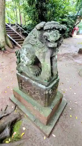 七百餘所神社 の狛犬