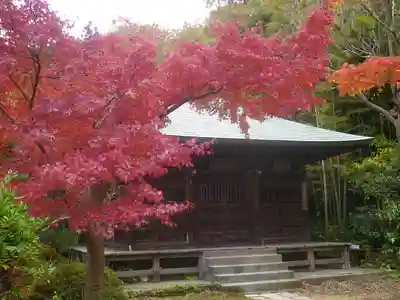 浄光明寺の本殿・本堂