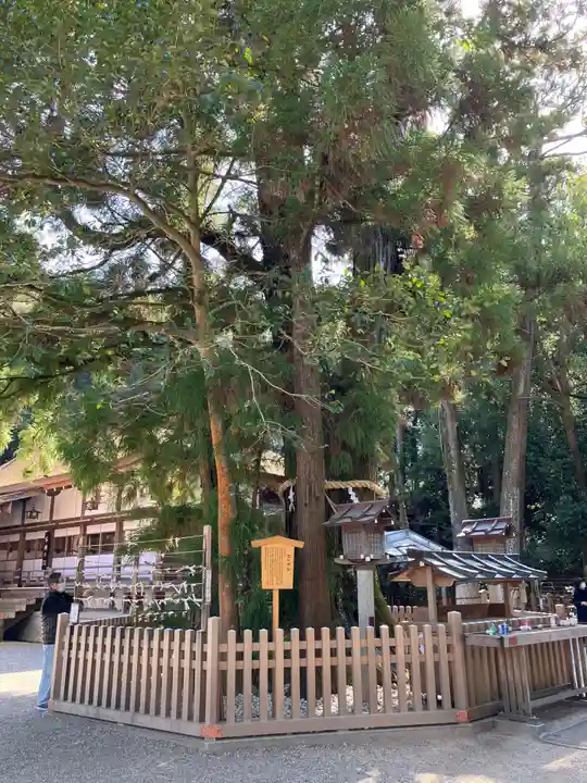 大神神社(奈良県)