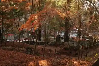 間々田八幡宮(栃木県)