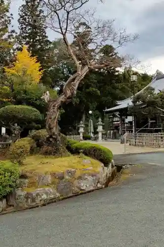 法海寺の庭園