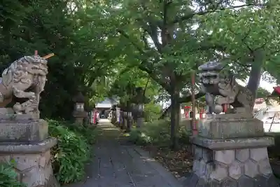 神炊館神社 ⁂奥州須賀川総鎮守⁂の狛犬