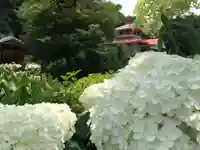 千光寺(福岡県)