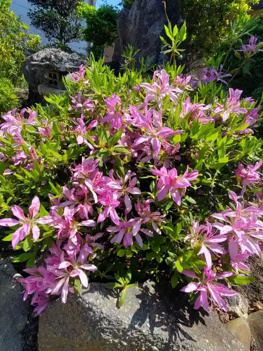 大鏑神社(福島県)