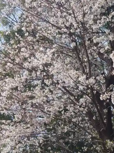 倉見神社(神奈川県)