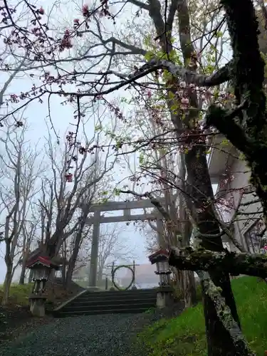 釧路一之宮 厳島神社の鳥居