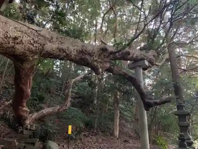 石尊神社の自然