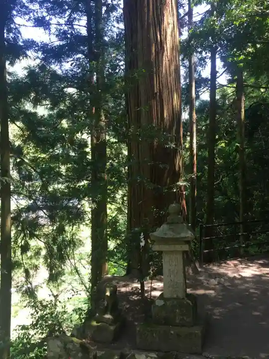 金持神社(鳥取県)