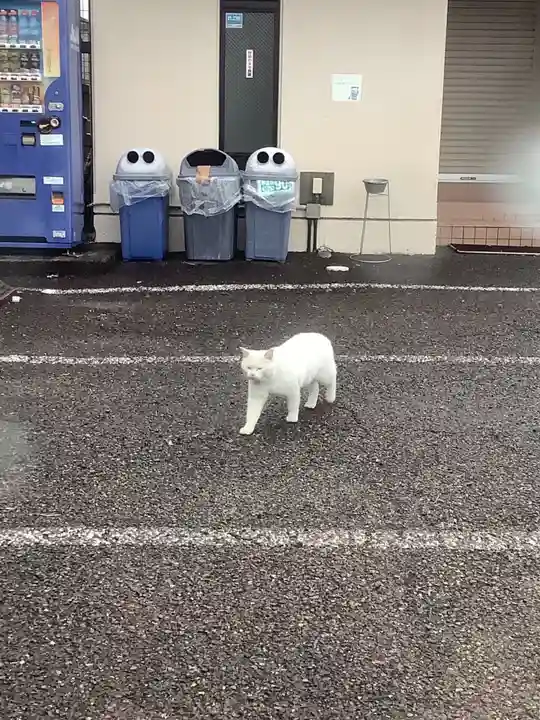 味鏡山 護國院の動物