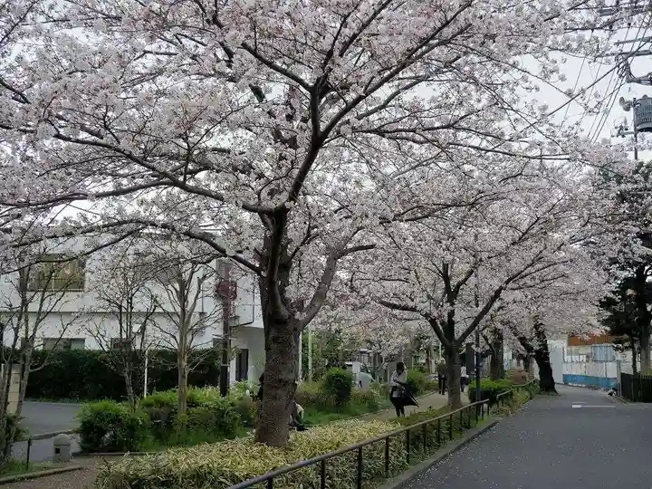 深澤神社の自然