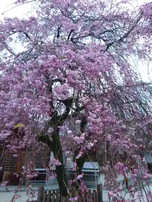 速谷神社(広島県)