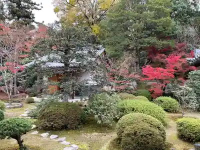 隨心院(随心院)(京都府)