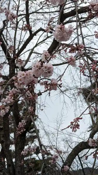 くろ谷 金戒光明寺(京都府)