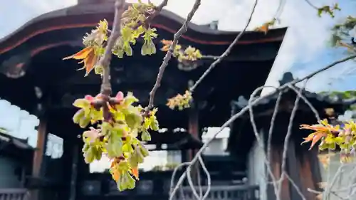 仁和寺(京都府)