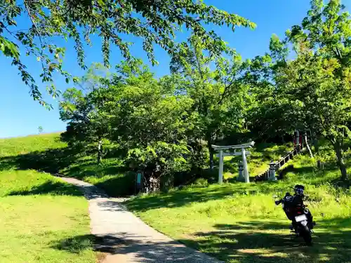 小萩山稲荷神社の鳥居