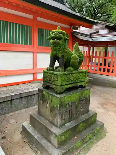 住吉神社の狛犬