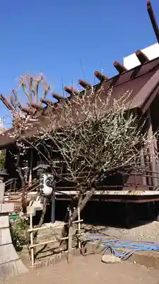 高円寺氷川神社のその他建物