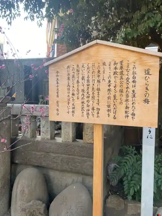 小野照崎神社(東京都)