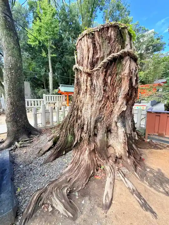 生田神社(兵庫県)