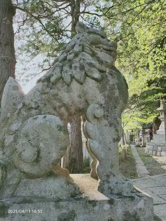 玉前神社の狛犬