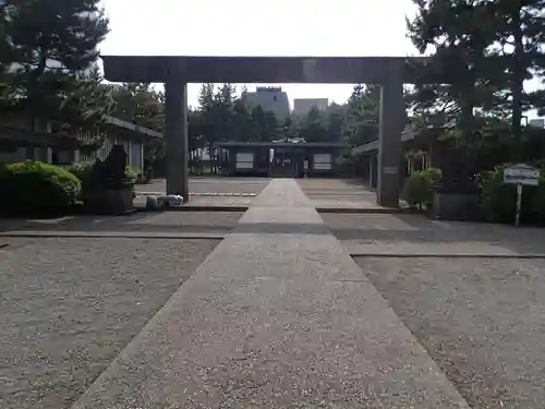 福井神社の鳥居