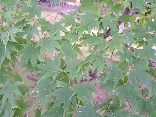 鹿王院(京都府)