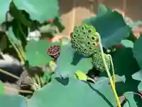 上行寺(静岡県)