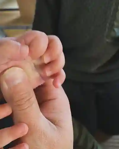  鳳仙寺(栃木県)