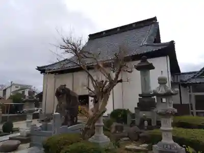 本行寺(福井県)