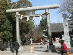 浅草神社の鳥居