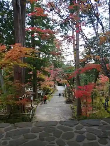 西明寺の建物その他