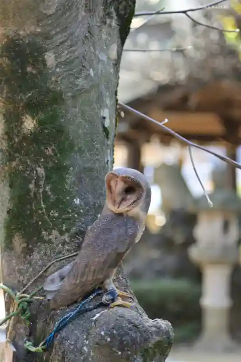 柏諏訪神社の動物