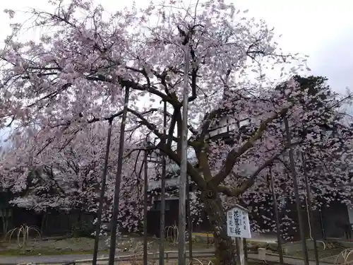 城福寺(福井県)