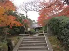 龍峰院(神奈川県)