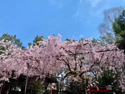 水火天満宮の自然