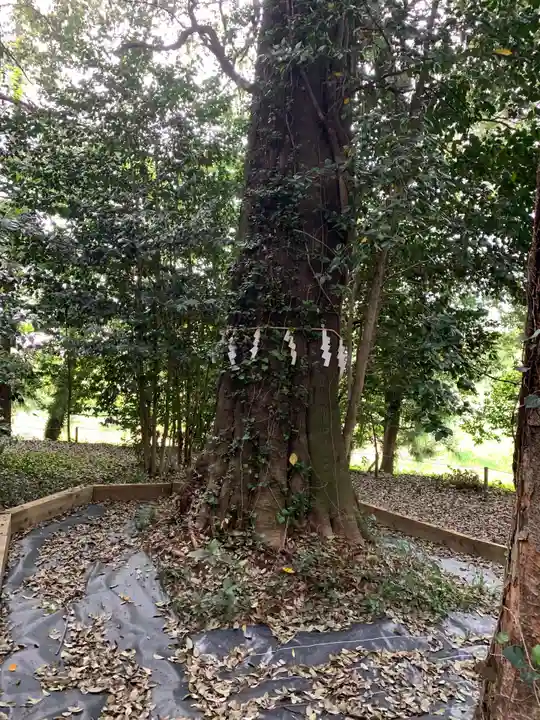 咲前神社(群馬県)