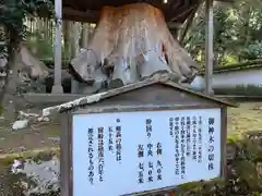 宇奈岐日女神社の自然