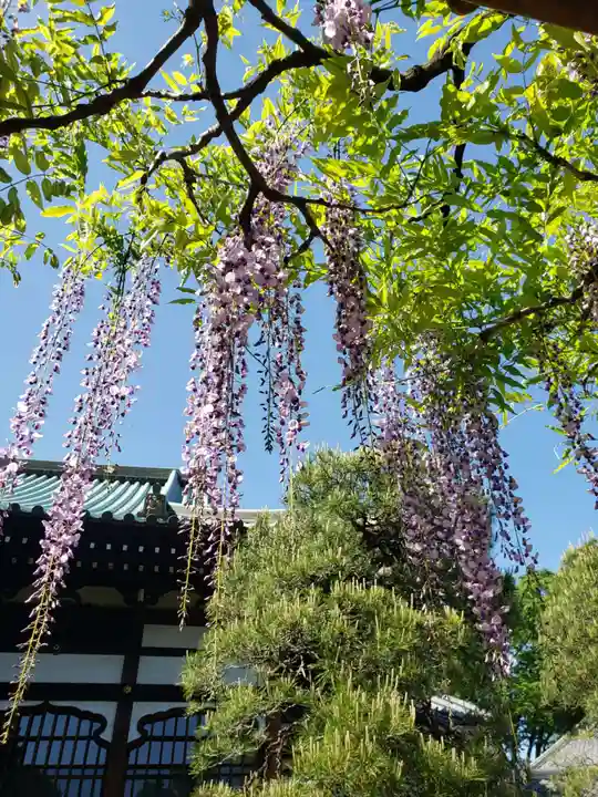 愛染院(東京都)