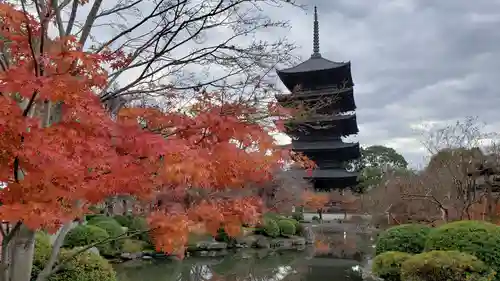 東寺（教王護国寺）(京都府)