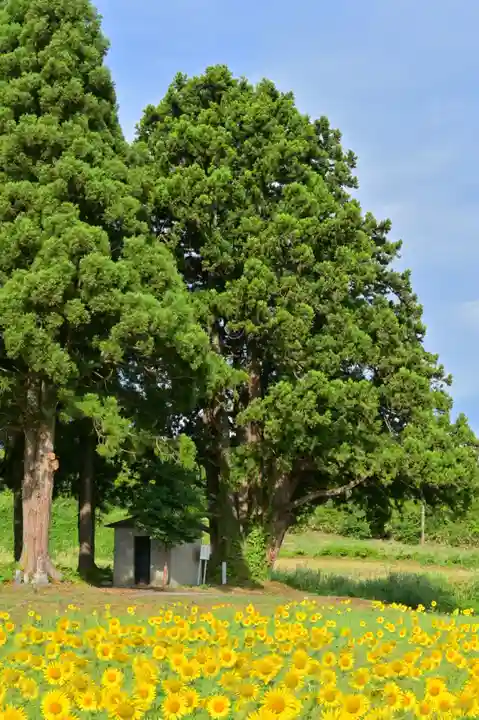 沢山神社(澤山神社)(新潟県)