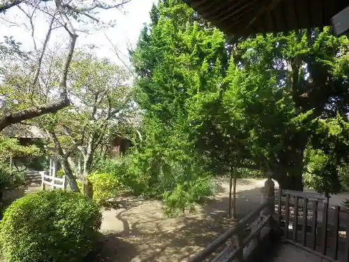 宝戒寺の庭園